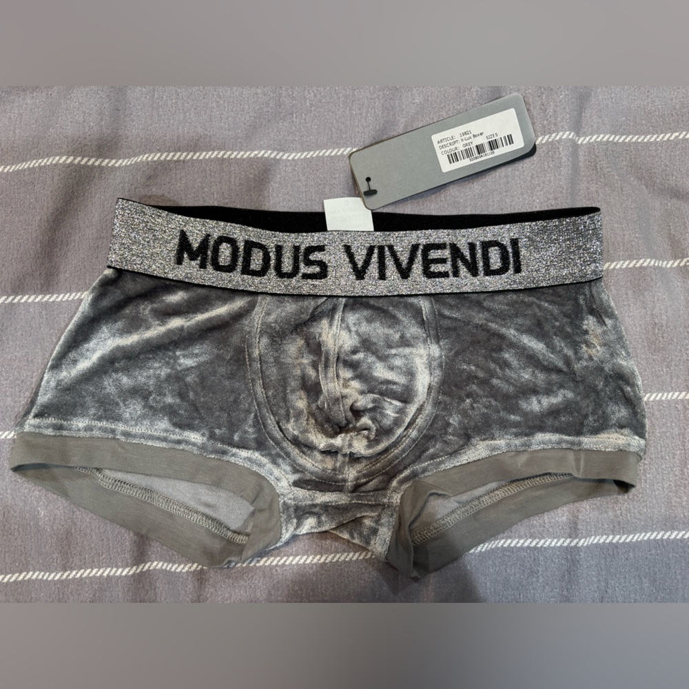 NWT Modus Vivendi x-lux trunk in grey size small